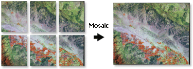 Images mosaicked together
